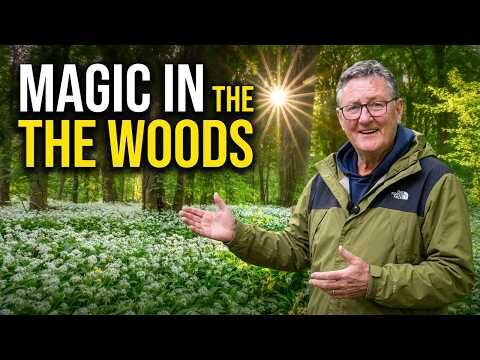 A creator's vision captured in stunning detail