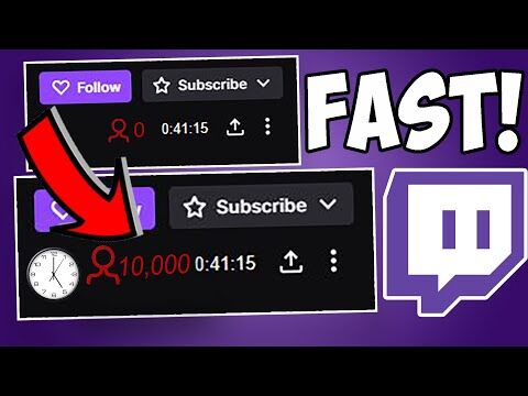 Person viewing a Twitch stream interface